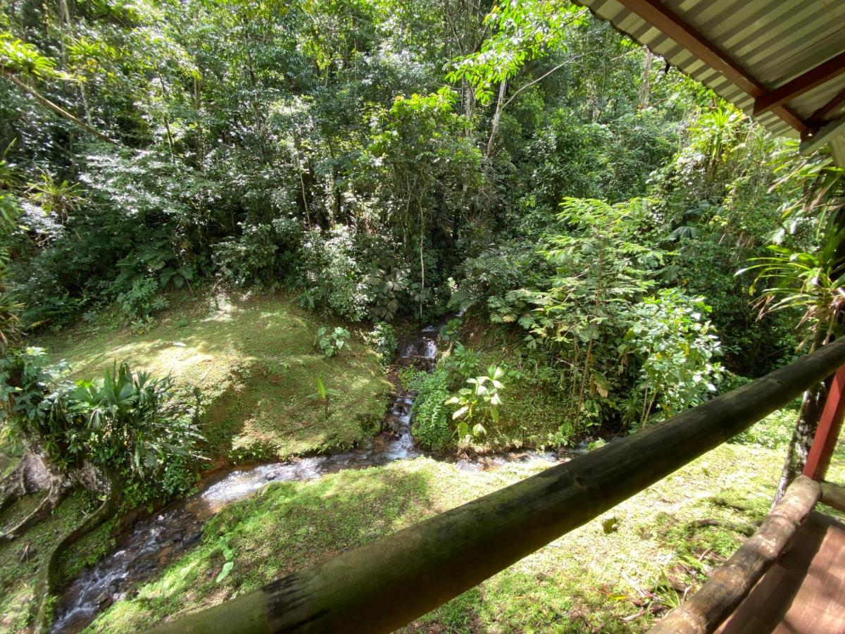 Esquipulas Rainforest Quepos Εξωτερικό φωτογραφία