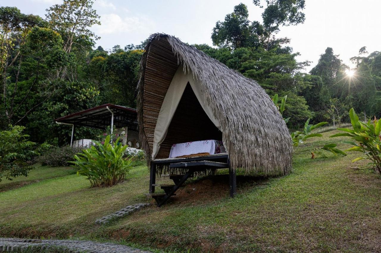 Esquipulas Rainforest Quepos Εξωτερικό φωτογραφία